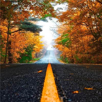 乐鱼官网手机版app下载截图